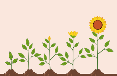 How to Build Emotional Resilience: A Science-Backed Guide for Young Adults